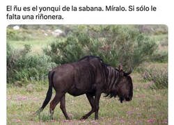 Enlace a No tengo pruebas pero tampoco dudas