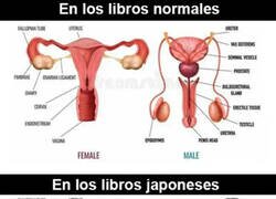 Enlace a Todo pixelado