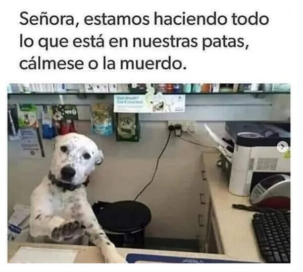 Meme_otros - Atención al Perrete