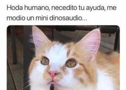 Enlace a Ayuda humado