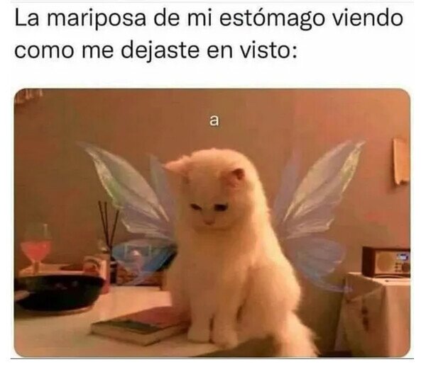 Meme_otros - Ya no la siento por tu culpa