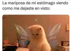 Enlace a Ya no la siento por tu culpa