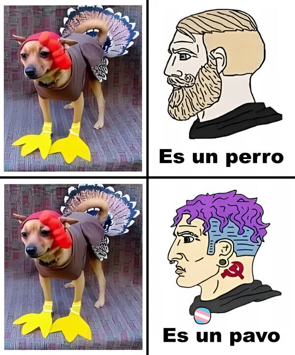 Meme_otros - Misterios sin resolver