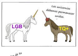 Enlace a No somos lo mismo