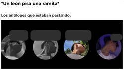 Enlace a Todos igual