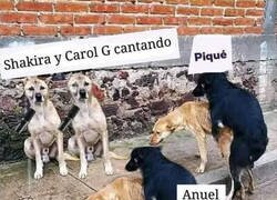 Enlace a No andan muy preocupados