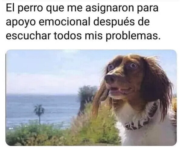 Otros - Acaba peor que yo