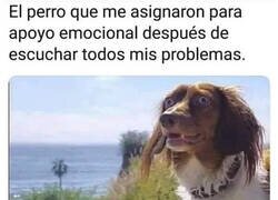 Enlace a Acaba peor que yo