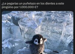 Enlace a Pregunta seria