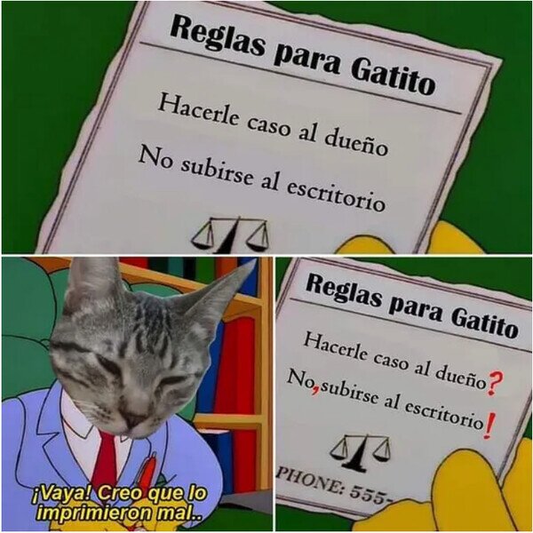 Meme_otros - Reglas para Gatito
