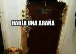 Enlace a Qué haría sin tí, Firulais...