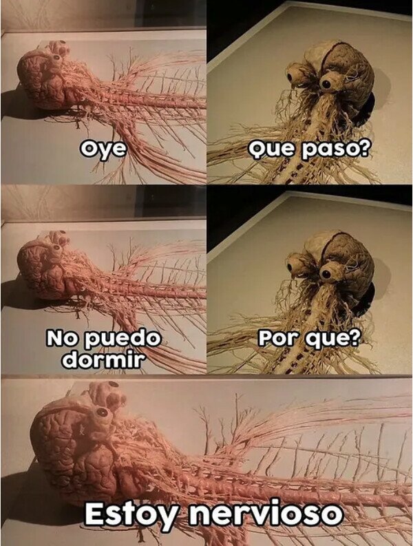 Meme_otros - Ese es el sistema