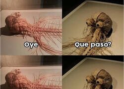 Enlace a Ese es el sistema