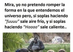 Enlace a Resolviendo enigmas del universo