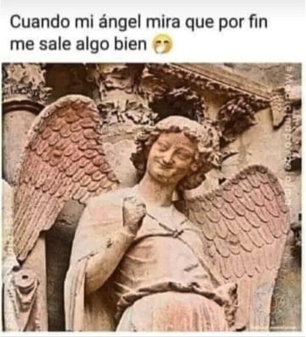 Meme_otros - No está acostumbrado