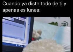 Enlace a No ha hecho más que empezar