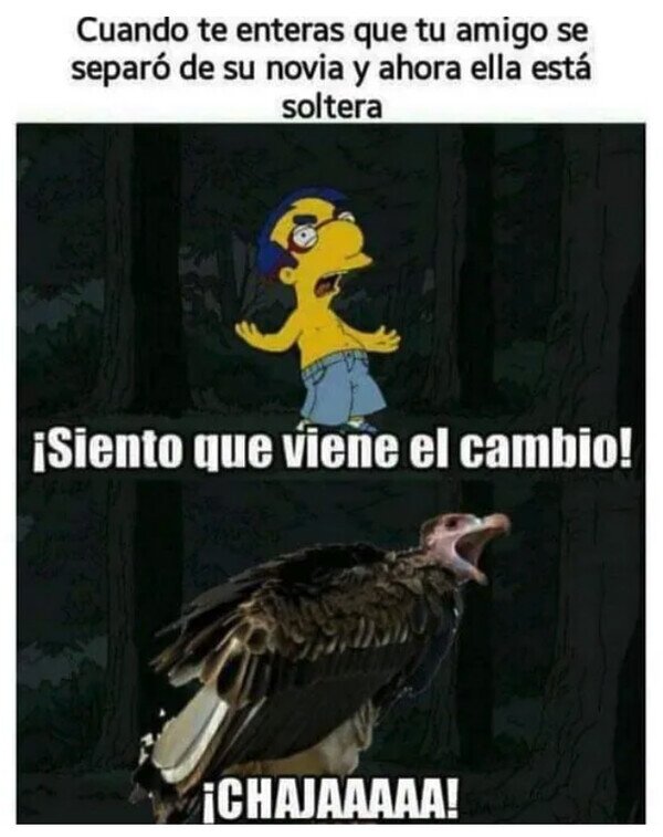 Meme_otros - El amigo buitre