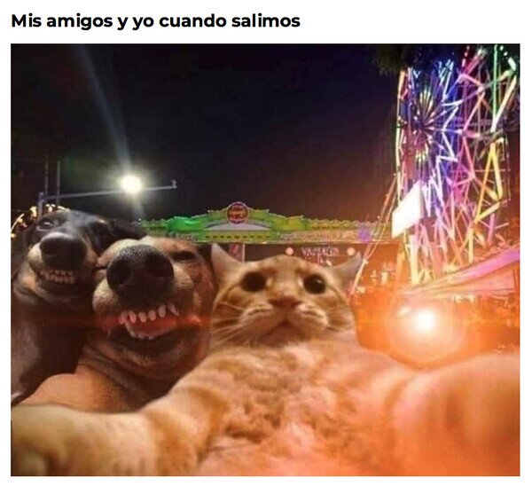 Otros - Noche de feria con los bros