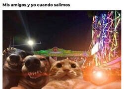 Enlace a Noche de feria con los bros