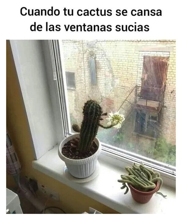 Meme_otros - Si no lo hace él, no lo va a hacer nadie