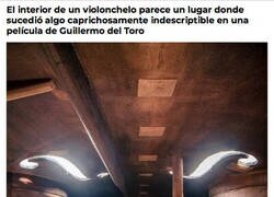 Enlace a Un violonchelo por dentro