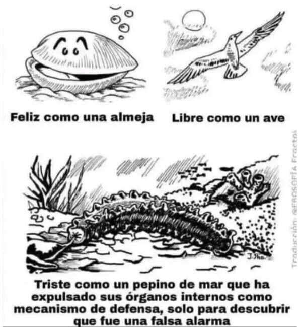 Meme_otros - Los animales también sienten