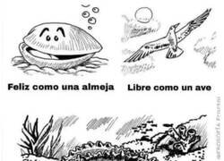 Enlace a Los animales también sienten