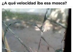 Enlace a Brutal impacto