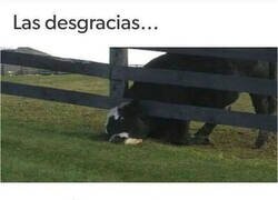 Enlace a Día aciago