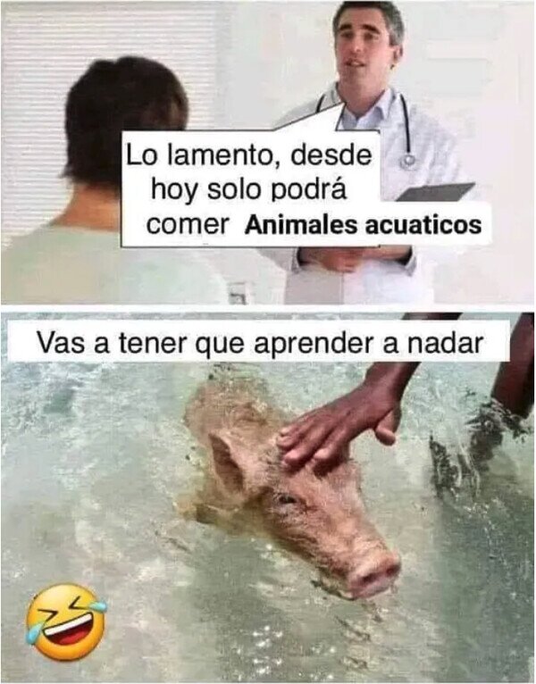 Meme_otros - Vamos cerdito, nada