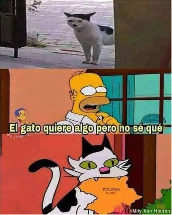 Meme_otros - El gato quiere invadir