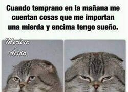 Enlace a Mi cara es tal que así