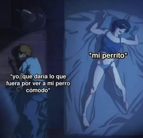 Otros - Se queda con la cama