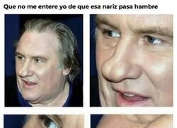 Enlace a Estupida y sensual nariz