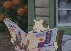 Enlace a Solo era eso