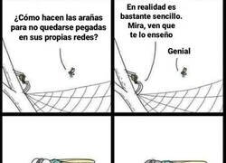 Enlace a Cayó en la trampa