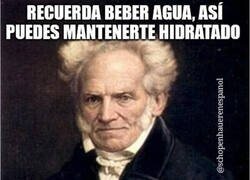 Enlace a El consejo de Schopenhauer