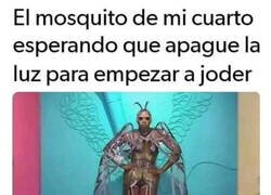 Enlace a A la espera