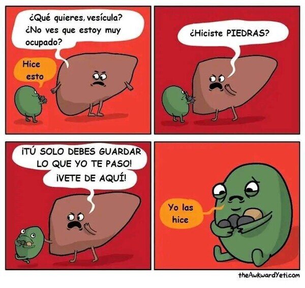 Meme_otros - Pobre vesícula...