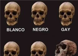 Enlace a No discrimines, a menos que diga...