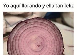 Enlace a Tras el corte