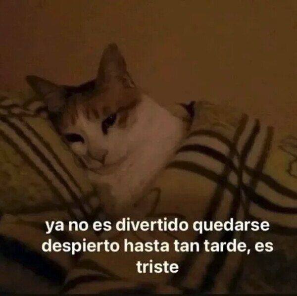 Meme_otros - Llega un momento en la vida en el que...