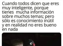 Enlace a Conocimiento inútil