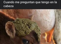 Enlace a Nada importante, desde luego...