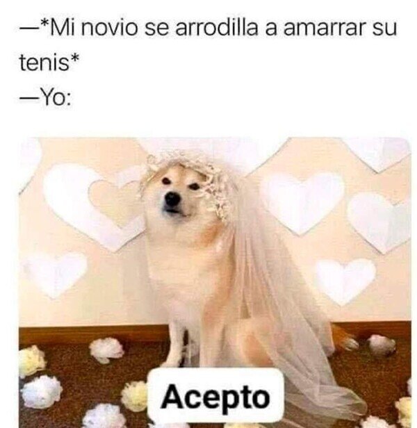 Meme_otros - Con ganas de boda