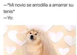 Enlace a Con ganas de boda