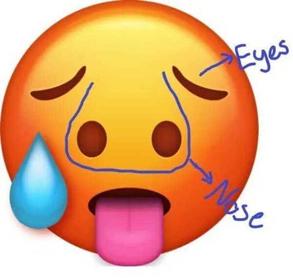 Meme_otros - Nunca volverás a ver igual este emoji