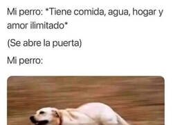 Enlace a Siempre intenta huir