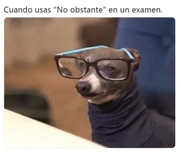 Meme_otros - Mi profesor dio con un sofisticado alumno