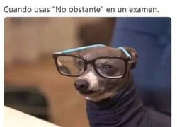 Enlace a Mi profesor dio con un sofisticado alumno